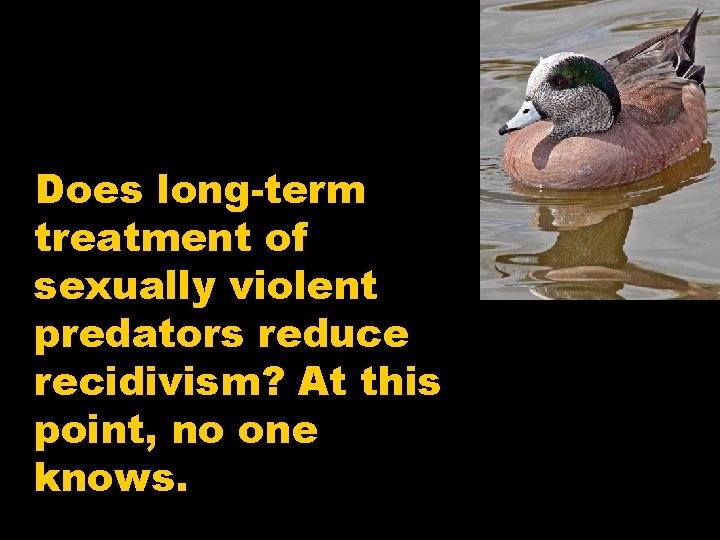 Does long-term treatment of sexually violent predators reduce recidivism? At this point, no one