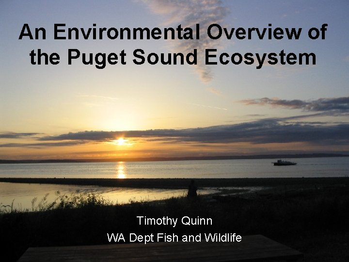 An Environmental Overview of the Puget Sound Ecosystem Timothy Quinn WA Dept Fish and