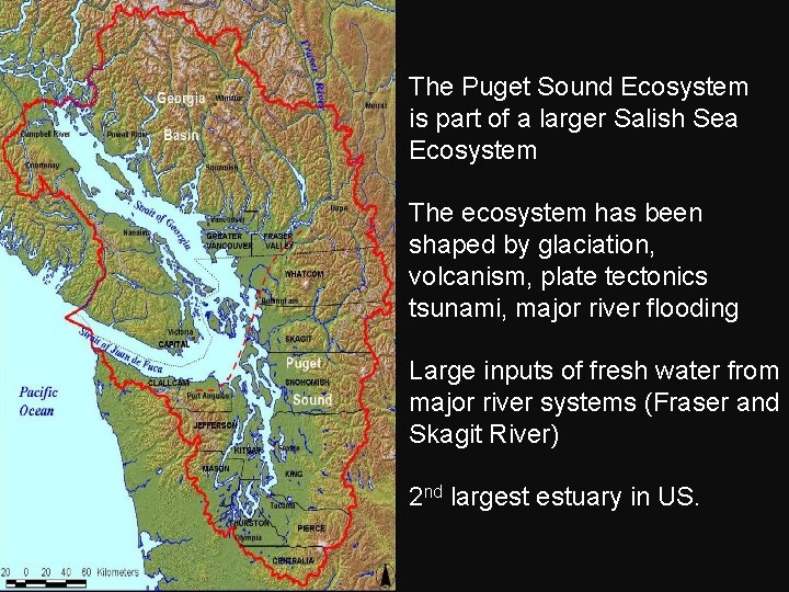 The Puget Sound Ecosystem is part of a larger Salish Sea Ecosystem The ecosystem