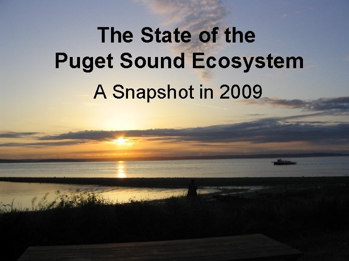 The State of the Puget Sound A Snap Shot Ecosystem in Time A Snapshot