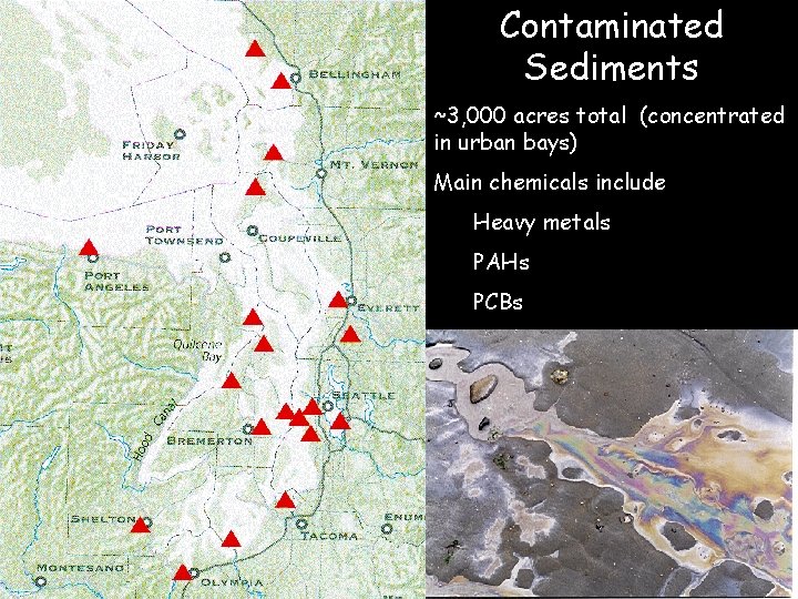 Contaminated Sediments ~3, 000 acres total (concentrated in urban bays) Main chemicals include Heavy