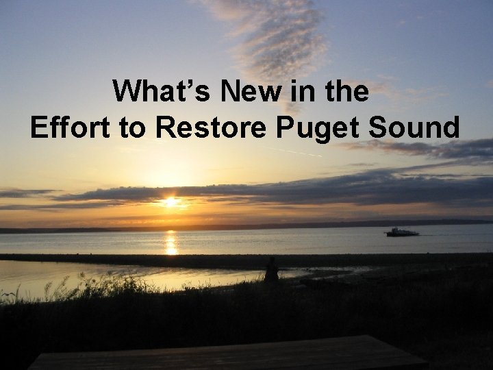 What’s New in the Effort to Restore Puget Sound 