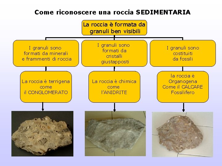 Come riconoscere una roccia SEDIMENTARIA La roccia è formata da granuli ben visibili I