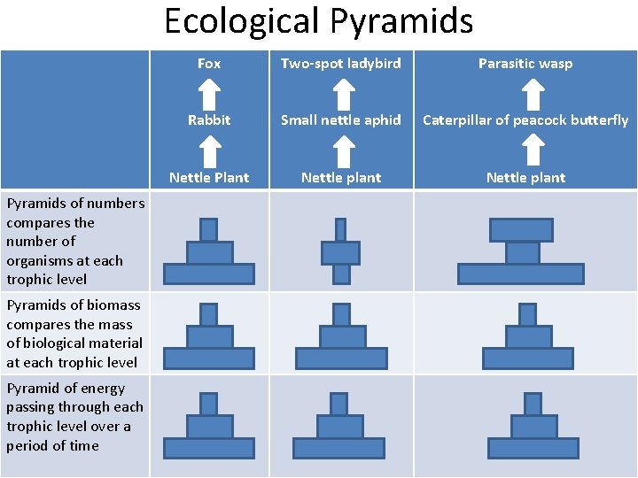 Ecological Pyramids of numbers compares the number of organisms at each trophic level Pyramids