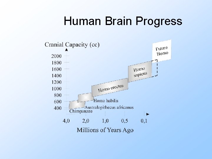 Human Brain Progress 