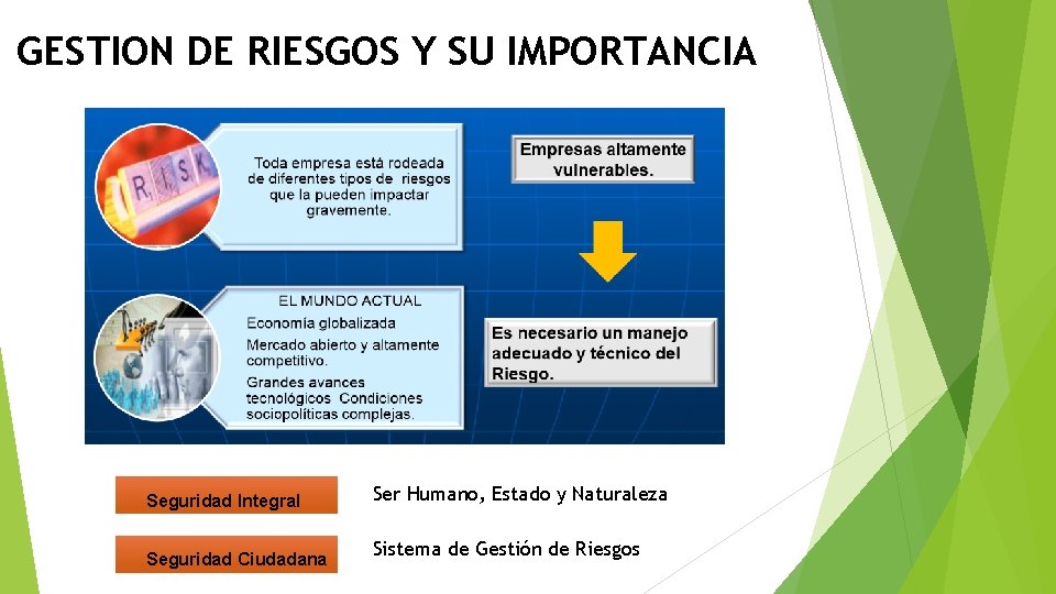 GESTION DE RIESGOS Y SU IMPORTANCIA Seguridad Integral Seguridad Ciudadana Ser Humano, Estado y