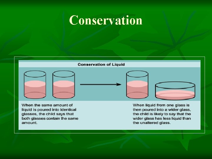 Conservation Conservation