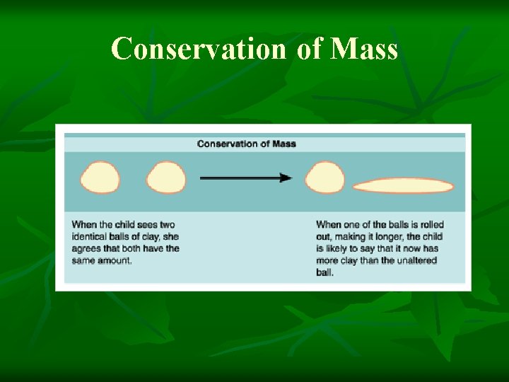 Conservation of Mass Conservation of Mass