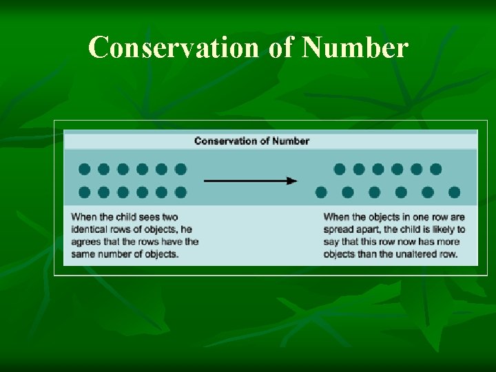 Conservation of Number Conservation of Number