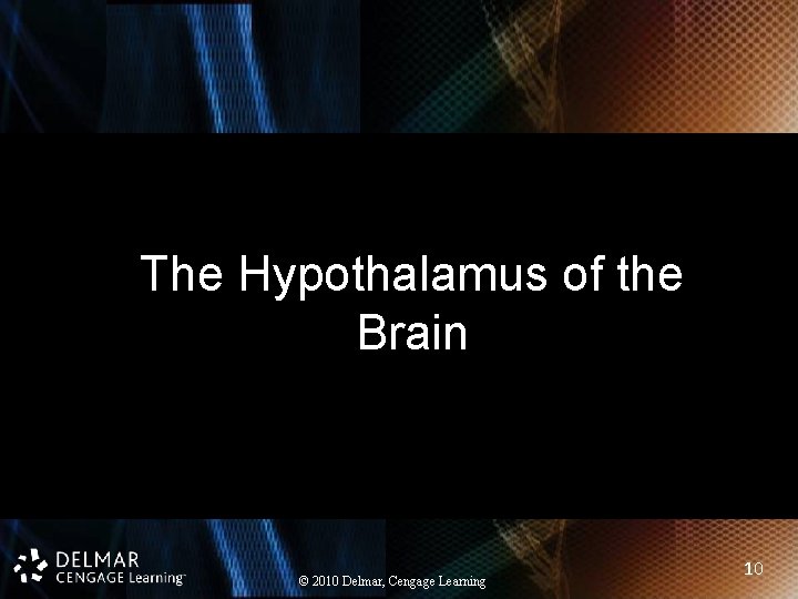 The Hypothalamus of the Brain © 2010 Delmar, Cengage Learning 10 