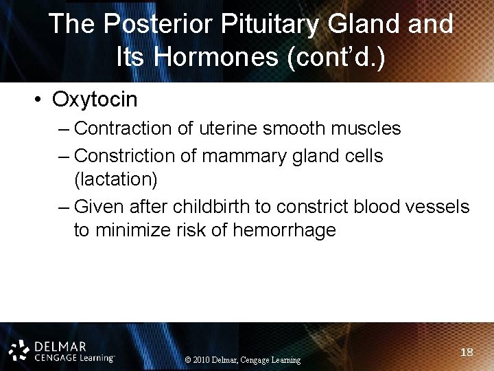 The Posterior Pituitary Gland Its Hormones (cont’d. ) • Oxytocin – Contraction of uterine