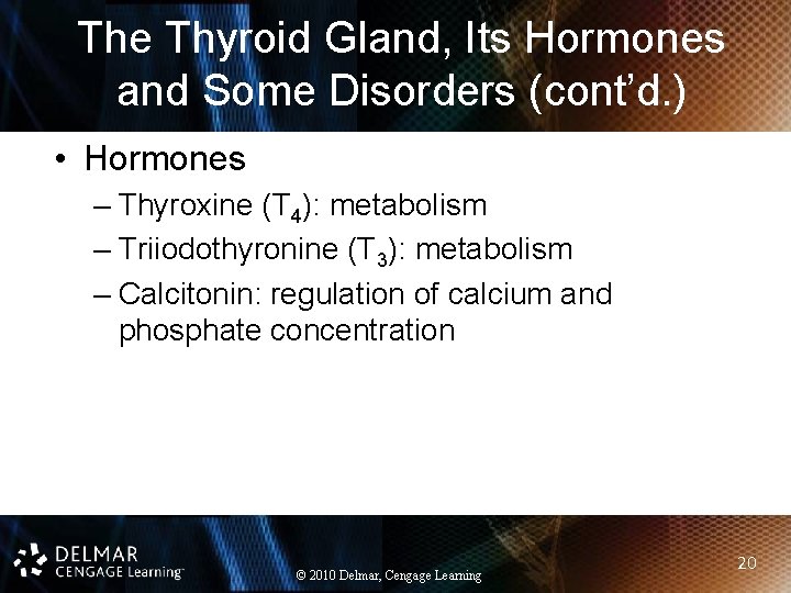 The Thyroid Gland, Its Hormones and Some Disorders (cont’d. ) • Hormones – Thyroxine