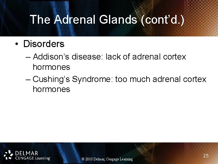 The Adrenal Glands (cont’d. ) • Disorders – Addison’s disease: lack of adrenal cortex