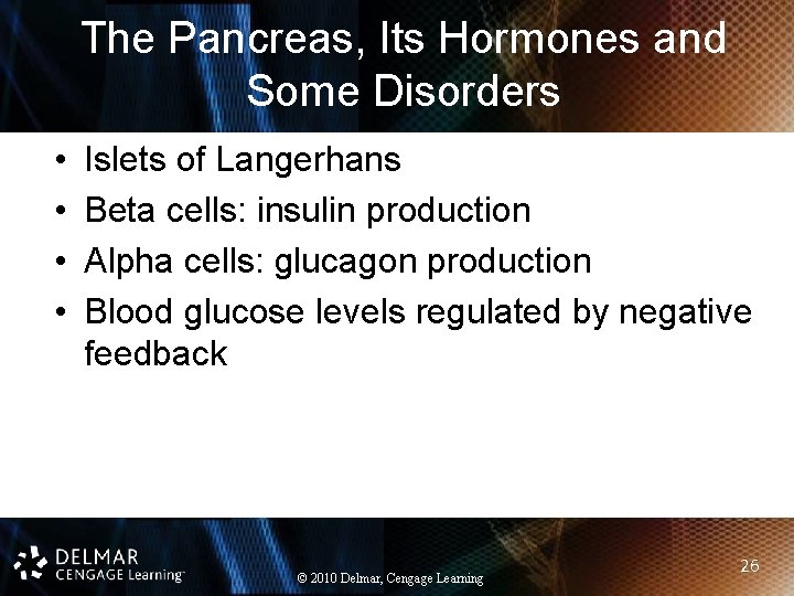 The Pancreas, Its Hormones and Some Disorders • • Islets of Langerhans Beta cells: