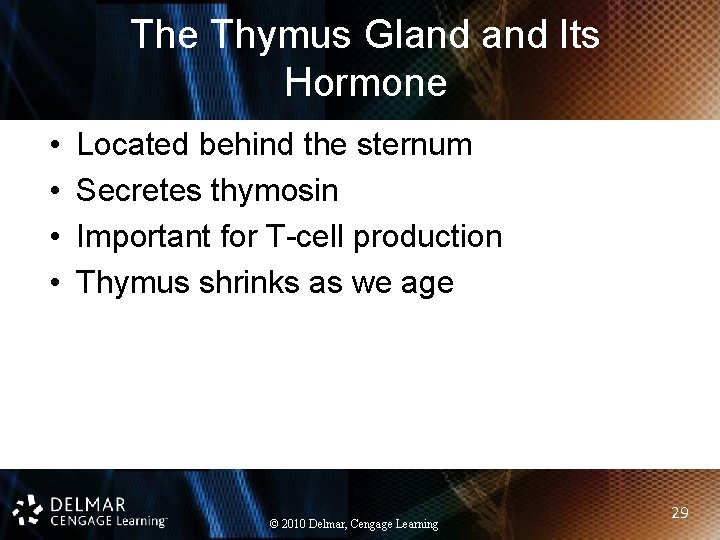 The Thymus Gland Its Hormone • • Located behind the sternum Secretes thymosin Important