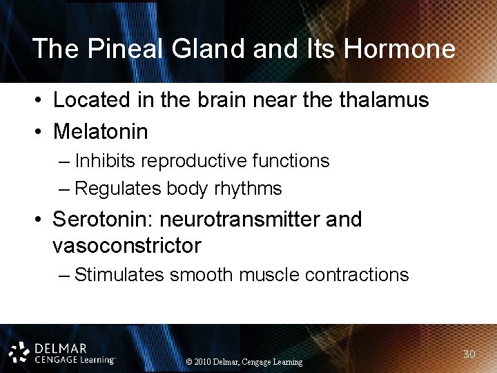 The Pineal Gland Its Hormone • Located in the brain near the thalamus •