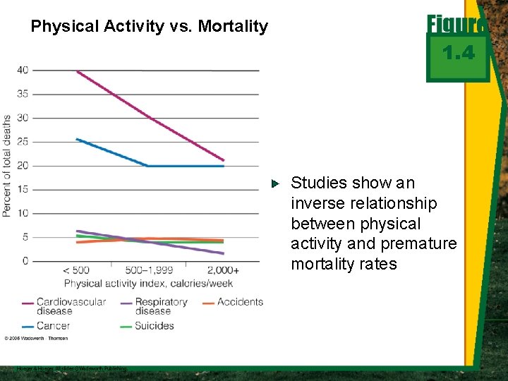 Physical Activity vs. Mortality 1. 4 Studies show an inverse relationship between physical activity