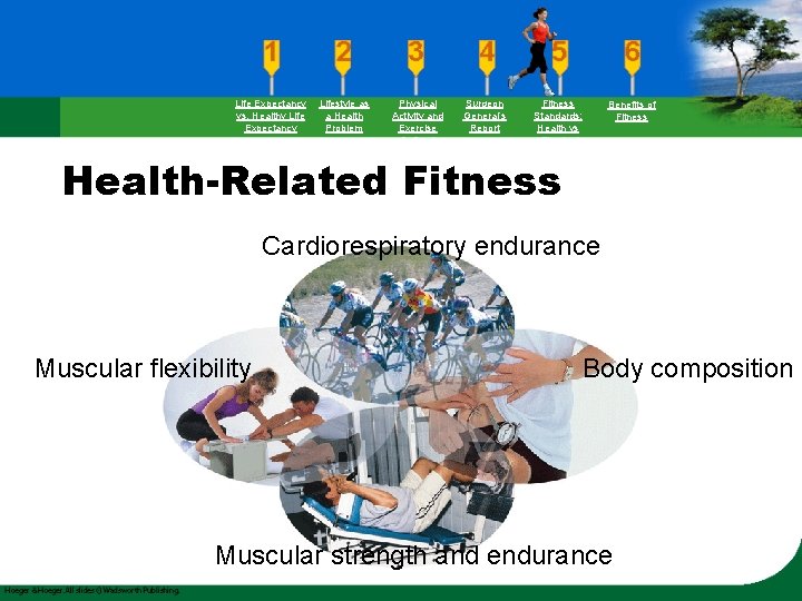 Life Expectancy vs. Healthy Life Expectancy Lifestyle as a Health Problem Physical Activity and