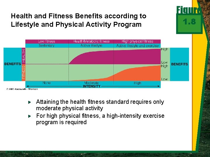 Health and Fitness Benefits according to Lifestyle and Physical Activity Program Attaining the health