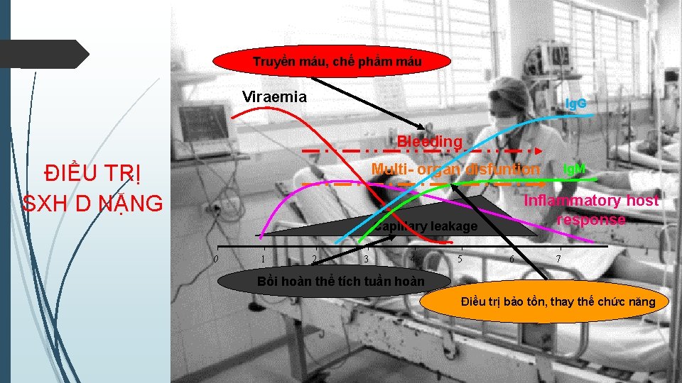 Truyền máu, chế phẩm máu Viraemia Ig. G Bleeding Multi- organ disfuntion ĐIỀU TRỊ