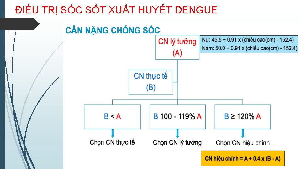 ĐIỀU TRỊ SỐC SỐT XUẤT HUYẾT DENGUE 