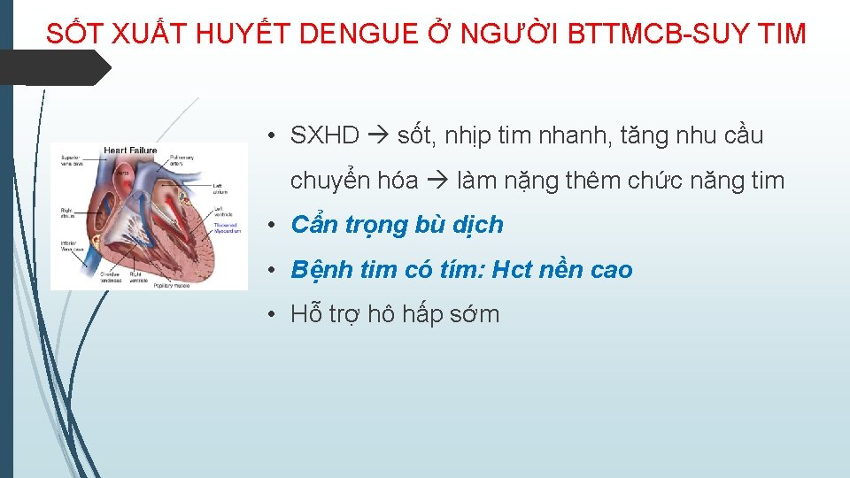 SỐT XUẤT HUYẾT DENGUE Ở NGƯỜI BTTMCB-SUY TIM • SXHD sốt, nhịp tim nhanh,