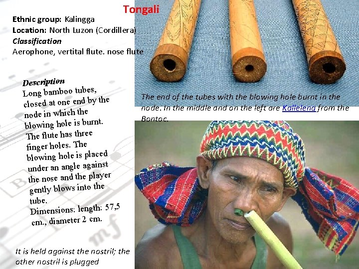 Tongali Ethnic group: Kalingga Location: North Luzon (Cordillera) Classification Aerophone, vertital flute. nose flute Tongali Ethnic group: Kalingga Location: North Luzon (Cordillera) Classification Aerophone, vertital flute. nose flute