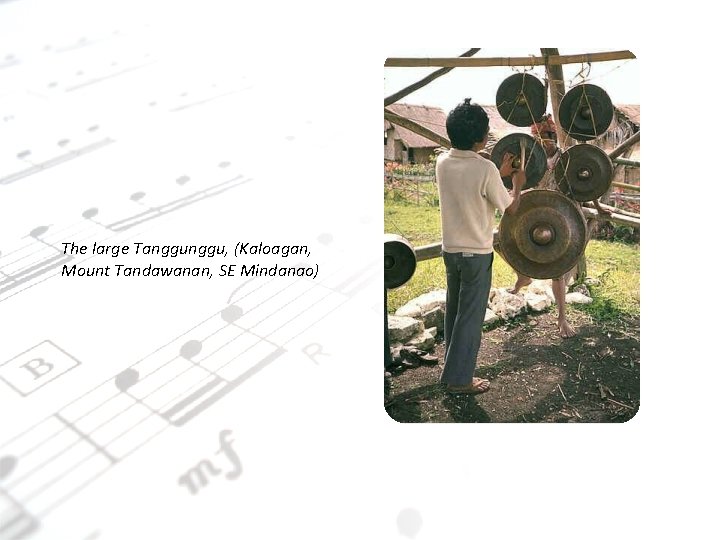 The large Tanggu, (Kaloagan, Mount Tandawanan, SE Mindanao) The large Tanggu, (Kaloagan, Mount Tandawanan, SE Mindanao)