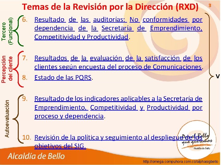 Autoevaluación Percepción del cliente Tercero (Funcional) Temas de la Revisión por la Dirección (RXD)