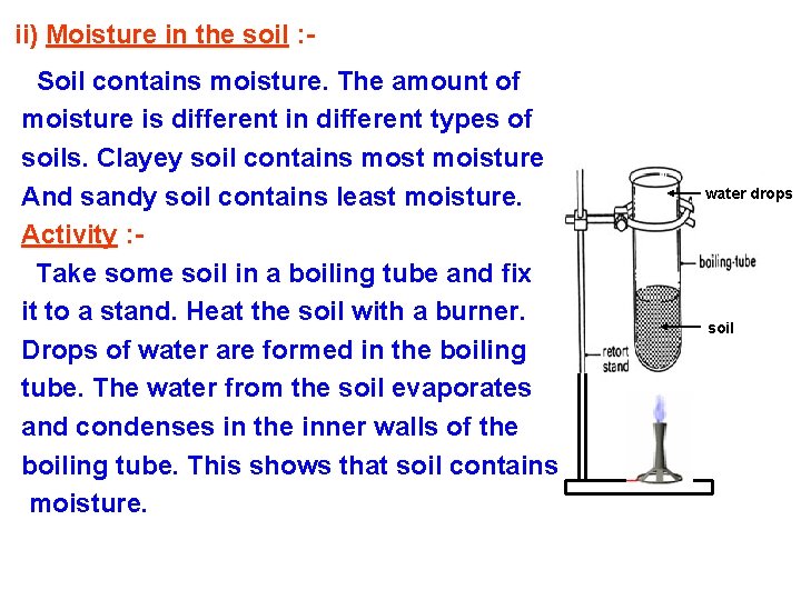 ii) Moisture in the soil : Soil contains moisture. The amount of moisture is