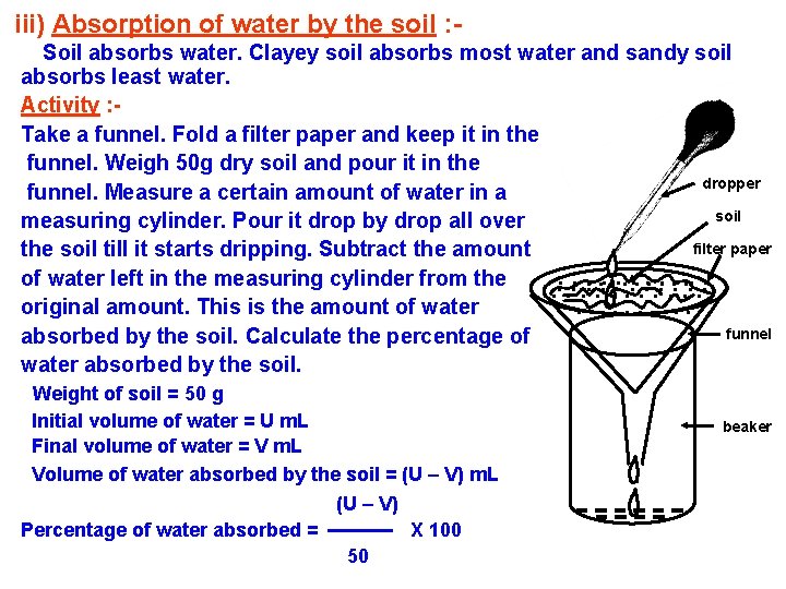 iii) Absorption of water by the soil : Soil absorbs water. Clayey soil absorbs