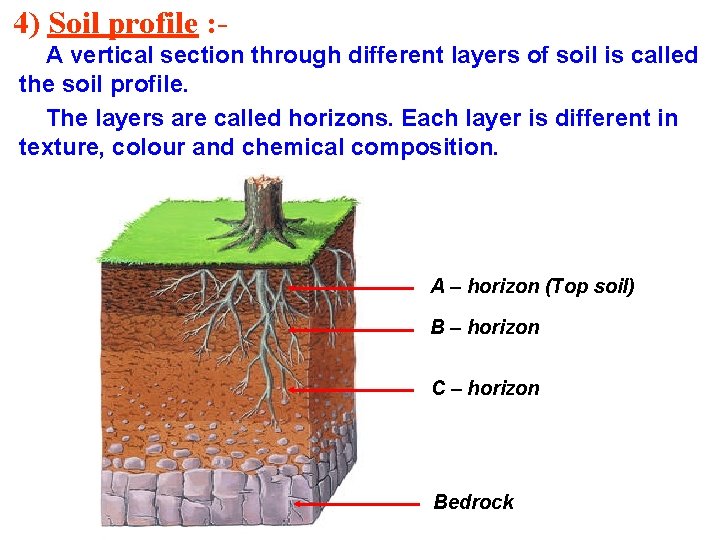 4) Soil profile : A vertical section through different layers of soil is called