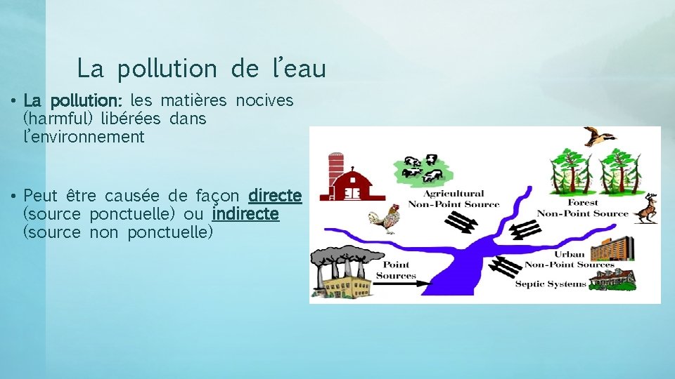 La pollution de l’eau • La pollution: les matières nocives (harmful) libérées dans l’environnement