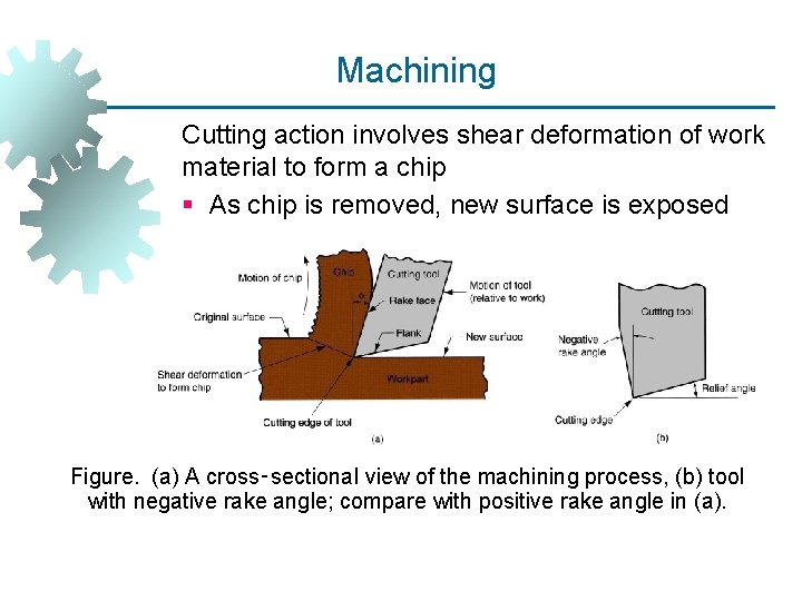 Machining Cutting action involves shear deformation of work material to form a chip §
