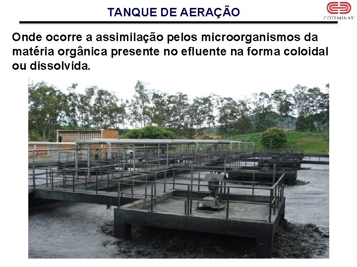 TANQUE DE AERAÇÃO Onde ocorre a assimilação pelos microorganismos da matéria orgânica presente no