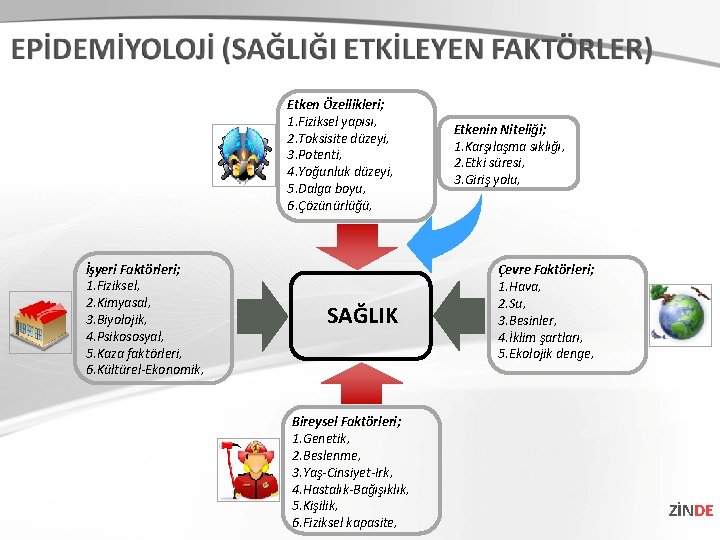 Etken Özellikleri; 1. Fiziksel yapısı, 2. Toksisite düzeyi, 3. Potenti, 4. Yoğunluk düzeyi, 5.