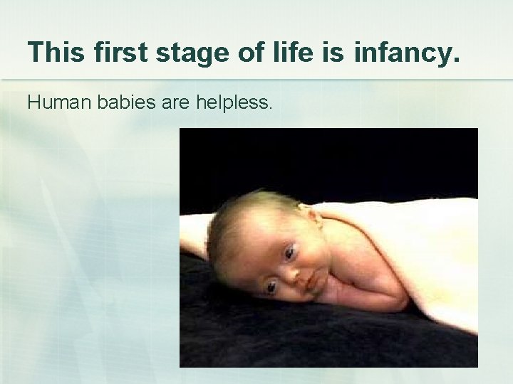 This first stage of life is infancy. Human babies are helpless. 