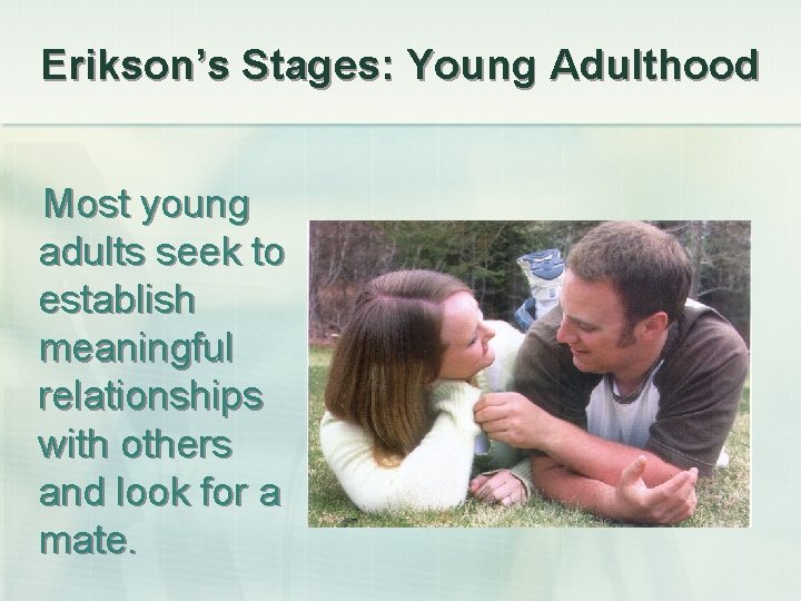 Erikson’s Stages: Young Adulthood Most young adults seek to establish meaningful relationships with others