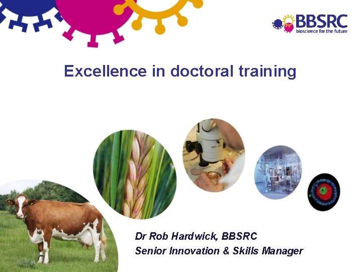 Excellence in doctoral training Dr Rob Hardwick, BBSRC Senior Innovation & Skills Manager 