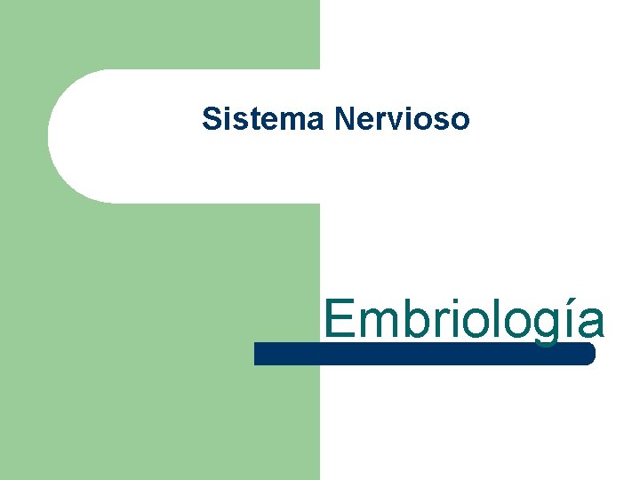 Sistema Nervioso Embriología 