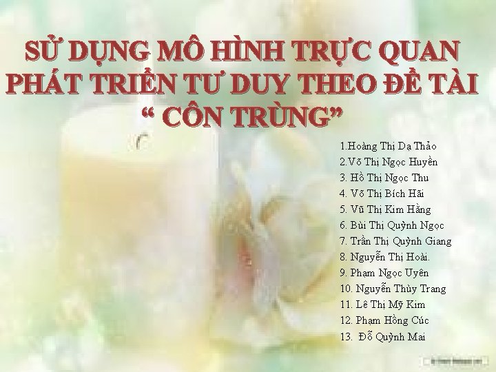 SỬ DỤNG MÔ HÌNH TRỰC QUAN PHÁT TRIỂN TƯ DUY THEO ĐỀ TÀI “