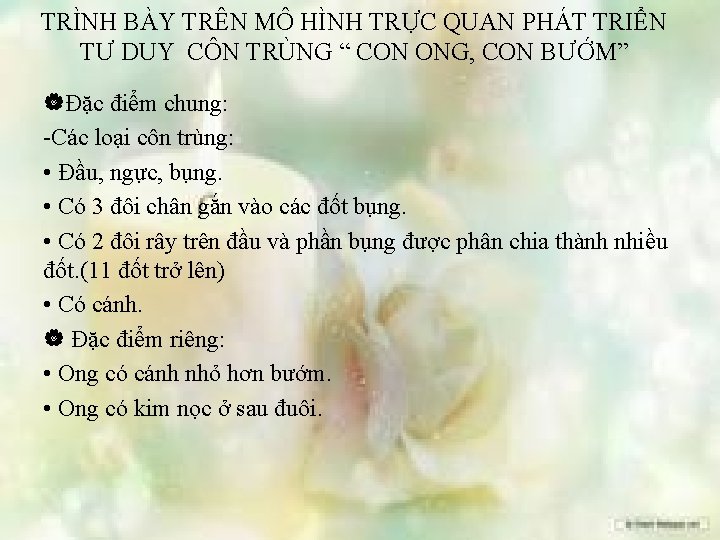 TRÌNH BÀY TRÊN MÔ HÌNH TRỰC QUAN PHÁT TRIỂN TƯ DUY CÔN TRÙNG “