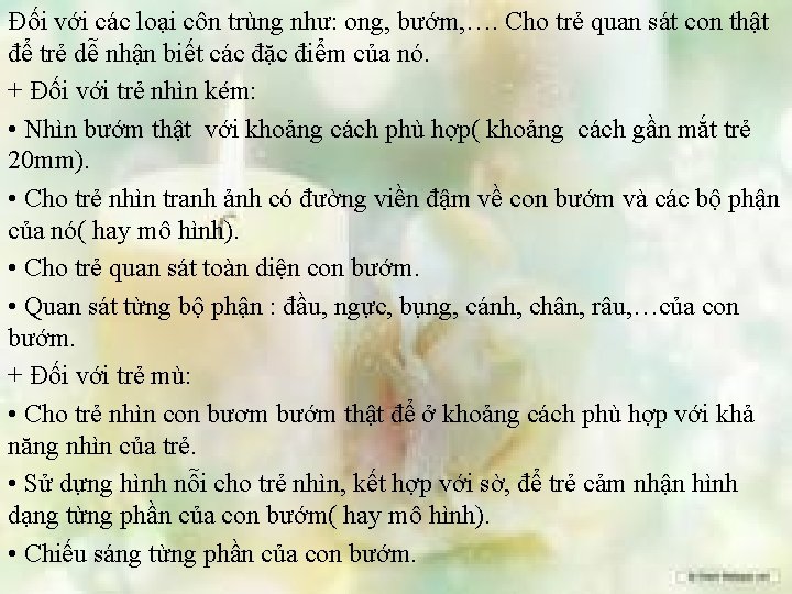 Đối với các loại côn trùng như: ong, bướm, …. Cho trẻ quan sát