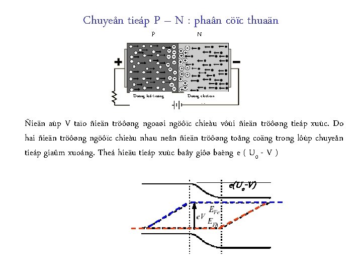 Chuyeån tieáp P – N : phaân cöïc thuaän P Doøng loã troáng N