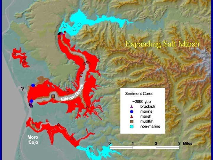 Expanding Salt Marsh 