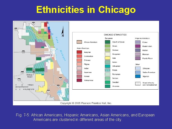 Ethnicities in Chicago Fig. 7 -5: African Americans, Hispanic Americans, Asian Americans, and European