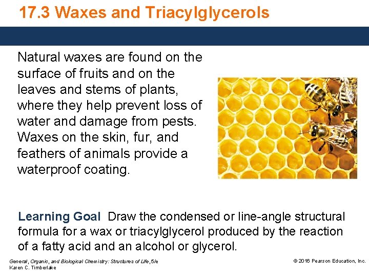 17. 3 Waxes and Triacylglycerols Natural waxes are found on the surface of fruits