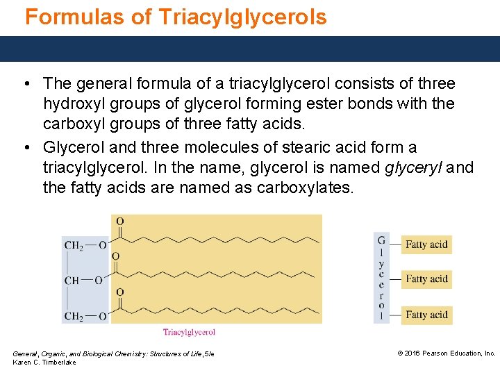 Formulas of Triacylglycerols • The general formula of a triacylglycerol consists of three hydroxyl
