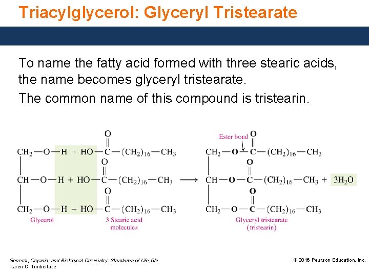 Triacylglycerol: Glyceryl Tristearate To name the fatty acid formed with three stearic acids, the