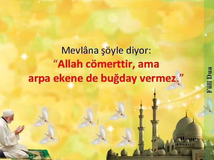 “Allah cömerttir, ama arpa ekene de buğday vermez. ” Fiilî Dua Mevlâna şöyle diyor: